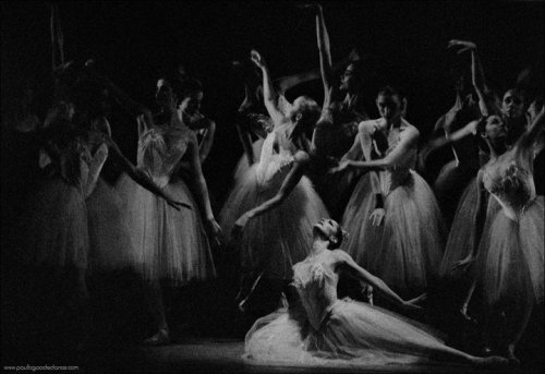 juotin: ABT’s Swan Lake by Paul B. Goode