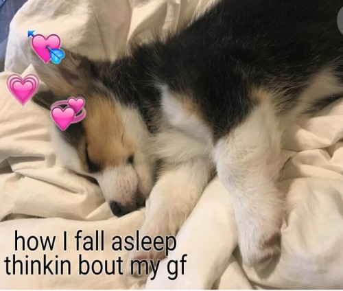 wholesome gf memes