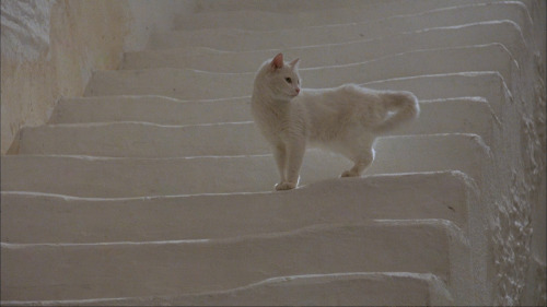 Richard Marquand (Welsh, 1937-1987, b. Llanishen, Cardiff, Wales) - White Cat on Stairs from The Leg