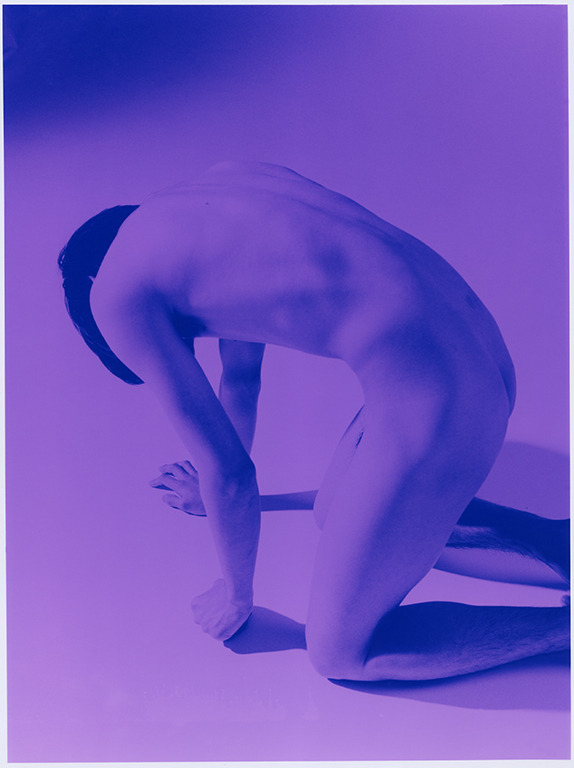 joga:  Mayumi Hosokura