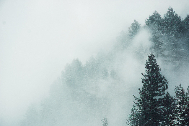 volatio:  untitled by galin ganchev* on Flickr. 