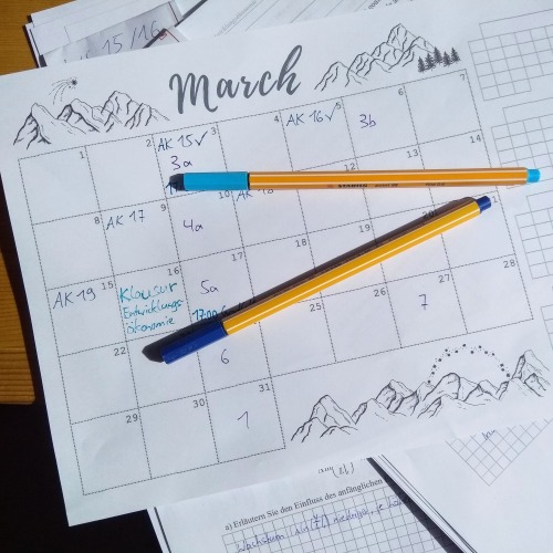 the-studying-european:11.03.21 | Calendar by @bulletnotestudies! I don’t even know what to do with t