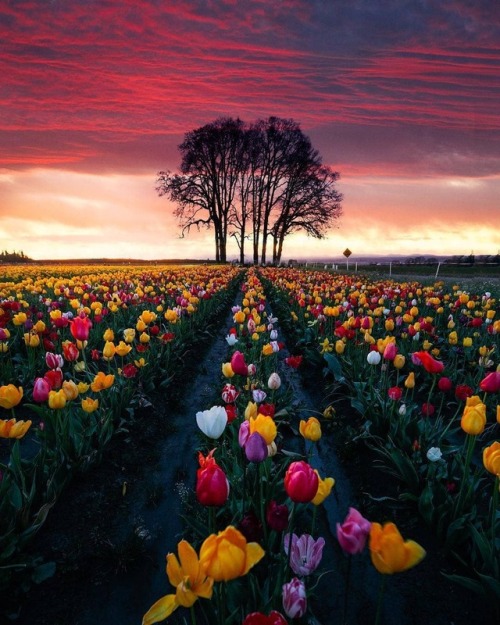 midlifesparks:Good morning my beautiful @ladysparks