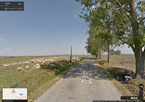 googlesheepview: Ocna Sibiului, Romania