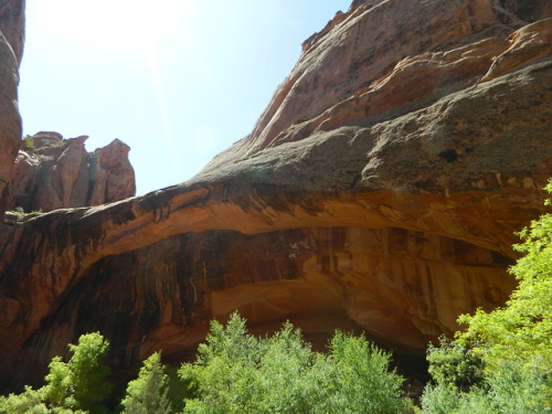 Moab, UTGrandstaff trail-Morning glory arch.