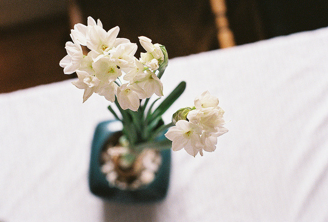 p0urtoujours:  ♪