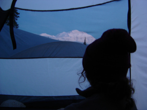viewfromthetent: tent view (by garyguy24)