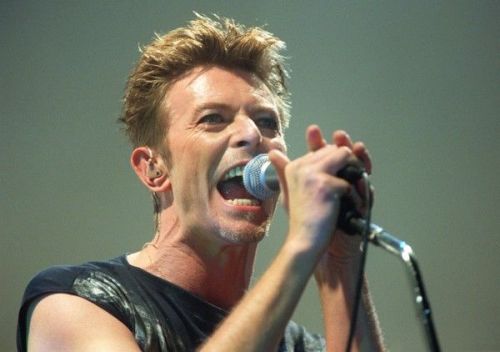 david bowie