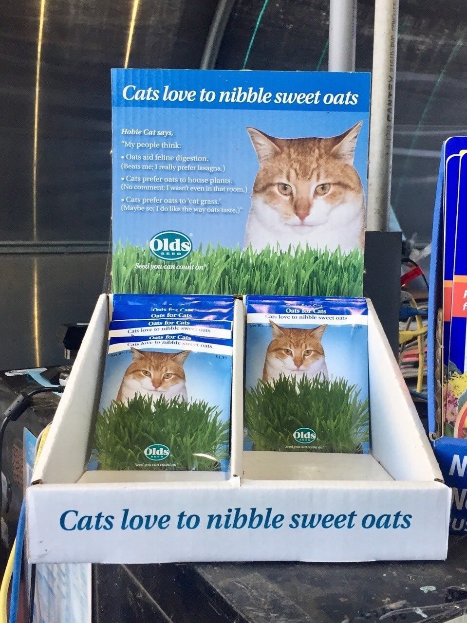 cats-love-to-nibble-sweet-oats:Cats love to nibble sweet oats