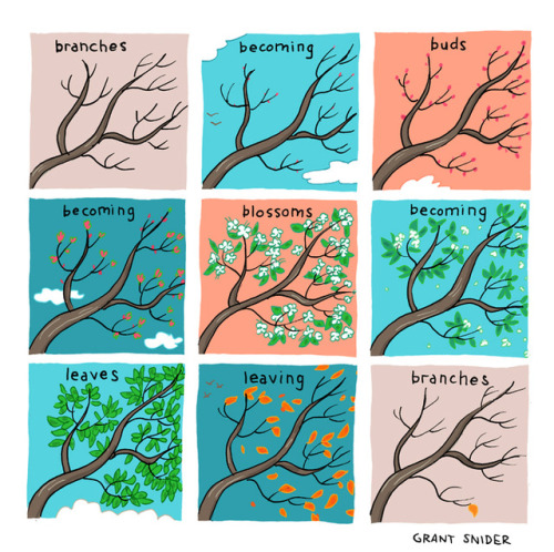 incidentalcomics: Branches Happy (almost) Autumn! A book and calendar of my comics have just been pu