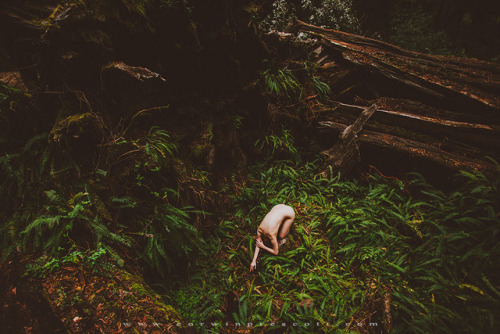  “We Were Wanderers”Redwoods, Ca 2017Corwin Prescott - Alice X - Full series on Patreon 