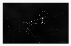 occlumency:  “The name ‘Sirius Black’ is a pun on his Animagus form of a black dog since the star Sirius is known as the Dog Star and is the brightest star in Canis Major, the Great Dog constellation.” 