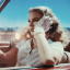 7-wild-at-heart-7
