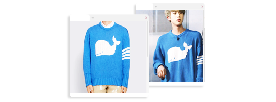 BTS Jin kore sweater / BTS Seokjin kore sweater - large