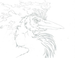 sombramalamutt: I haven’t done much here but like and reblog a couple random posts here and there. I’m still drawing and writing and making stuff.  Just very slowly. Started this sketch around the time Moltres first came out in raids in Pokemon Go. 