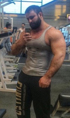 pjsesq:Anton Hudyakov Okay. So, hairy muscle