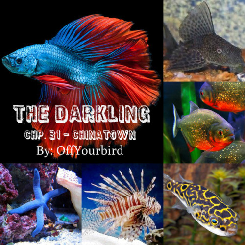 iamoffyourbird: badwolfdarkjedi: An amazing chapter of that engrossing story, The Darkling, that mad