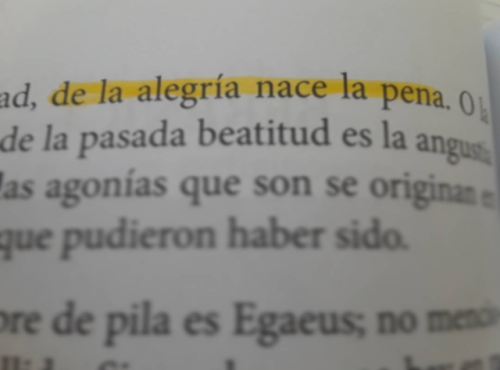 marica-callate:Berenice, Edgar Allan Poe