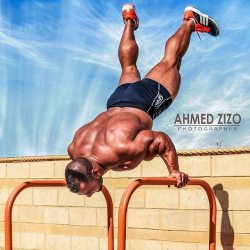 drwannabebigger:Galal Zakaria