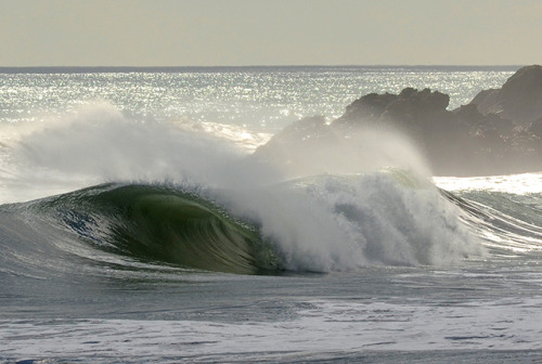 Autumn wedgeA west coast New Zealand wedge doing what it does best.Image: Jorin Sievers