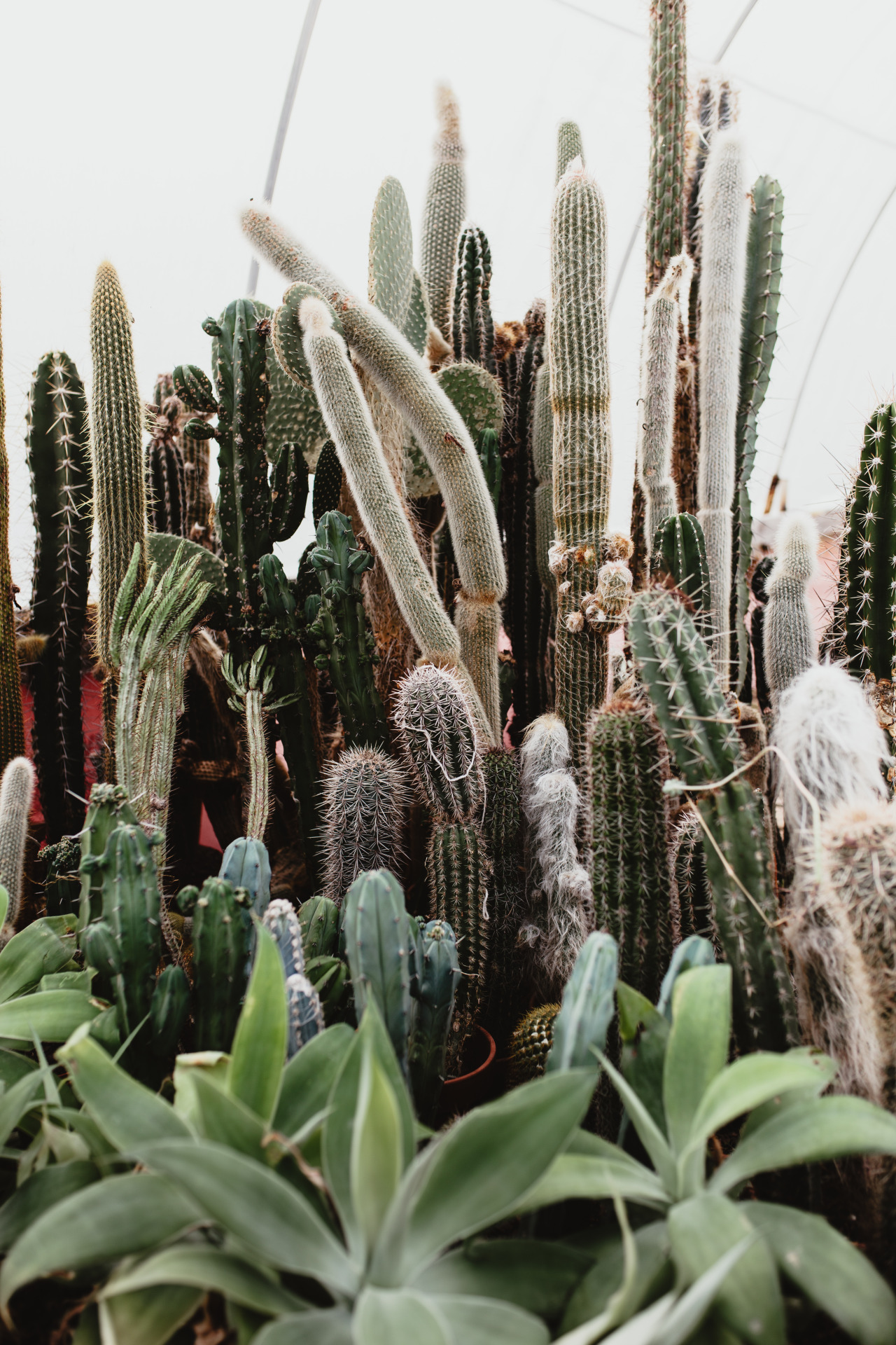 kellyelainesmith:  kelly smith photography for arizona east november 2015 