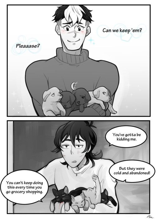 ame-gafuru:Day 05: Animals // Shiro brings home abandoned animals and names them after stars/moons 