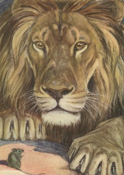 clawmarks:Paul Bransom - The lion and the mouse - 1921 - via NYPL