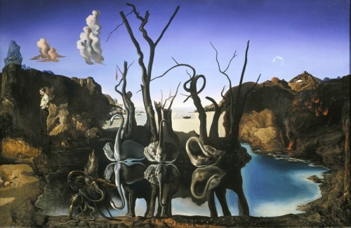 Salvador Dalí, Les cygnes se reflétant en éléphants, 1937.https://painted-face.com/