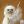 vivelafrance24601:  You know when you try to draw hands and you finally get the shape right but then you look end result and just 