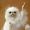 vivelafrance24601:  You know when you try to draw hands and you finally get the shape right but then you look end result and just 