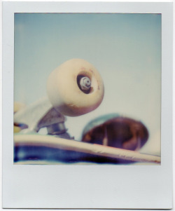 polaroidsf:  Kick Push Coast