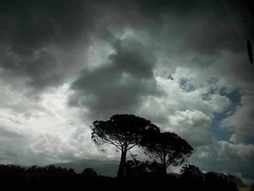 Landscapes, clouds &amp; pines in Italy, Naples area. Feat.: Vezuvius volcano in clouds (fot. 2)