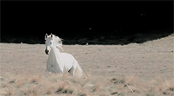 gwenstacye:  The Lord of the Rings: The Two Towers And sometimes you didn’t want