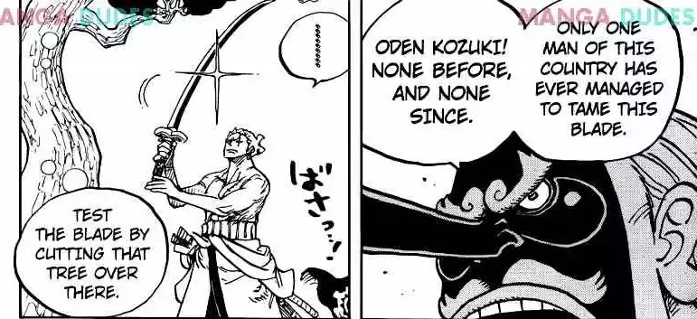 Kingslayer_Marimo🐉 on X: So, like? Did Zoro fail Enma test? And if not?  What was the test? Did he pass? Fail? 😭😭😭😭😭 / X