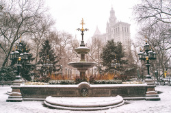 savvydarling:  New York Winter - City Hall