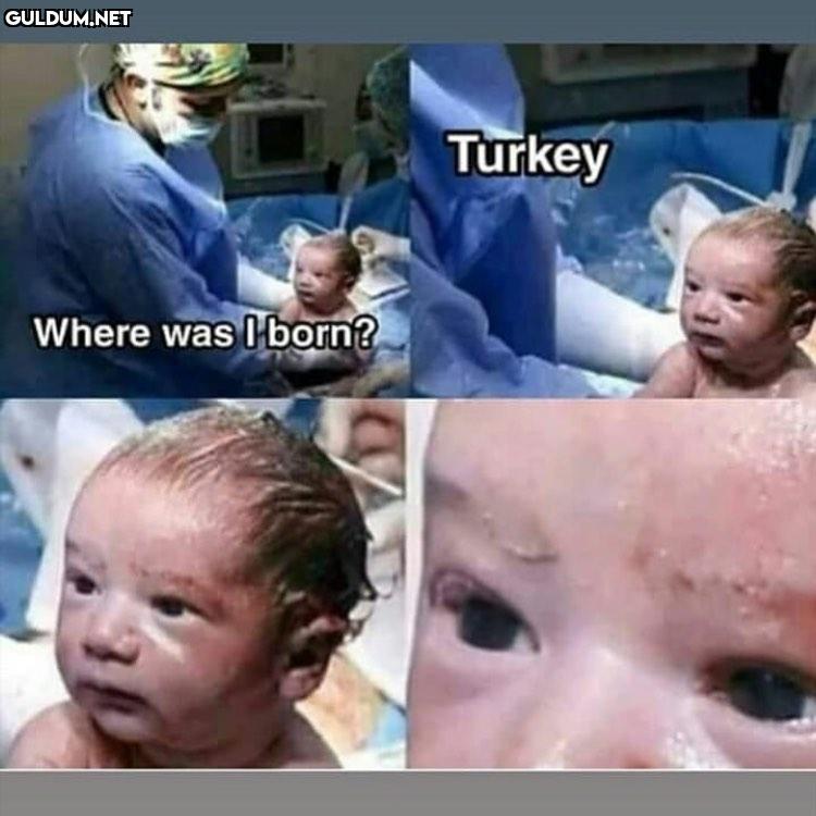 -  Where was l born? 
Turkey