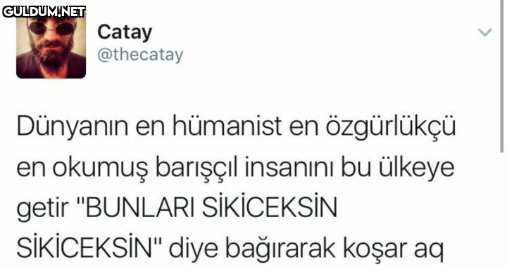 Catay @thecatay Dünyanın...