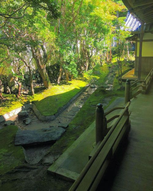 春日大社貴賓館庭園 [ 奈良県奈良市 ] Kasuga Taisha Shrine Kihinkan Garden, Nara ーー平城京の時代から続く奈良を代表する世界遺産の神社⛩に #重森三玲 が