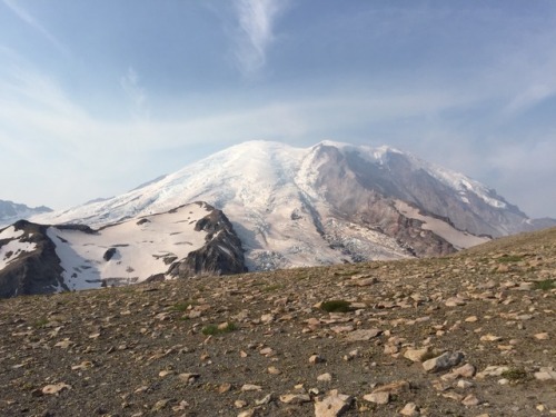 Mount Rainier from Burroughs Mountain trail.