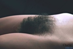 hairybustylover:   