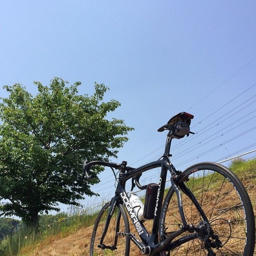 bikes-bridges-beer:  サイクリング日和 これから大磯まで行きます(^^) ift.tt/1iEkLbq