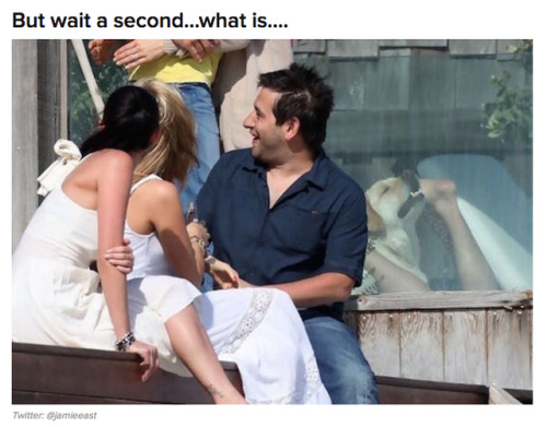 weirdbuzzfeed:WTF is Robert Downey Jr’s dog doing?