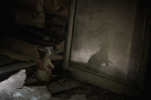 When Kai Fagerstrm Happened Upon An Old Cottage In Rural Suomusjrvi, Finland, Abandoned Decades Ago,