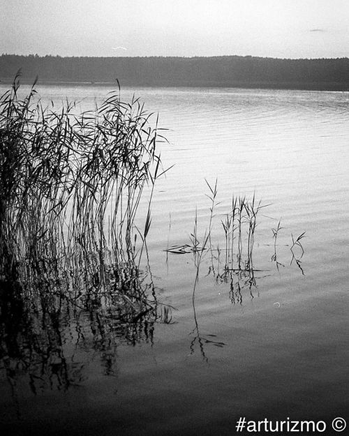 By the lake ➡️ #summermemories #analogphotography #filmphotography #filmnotdead #istillshootfilm #ke