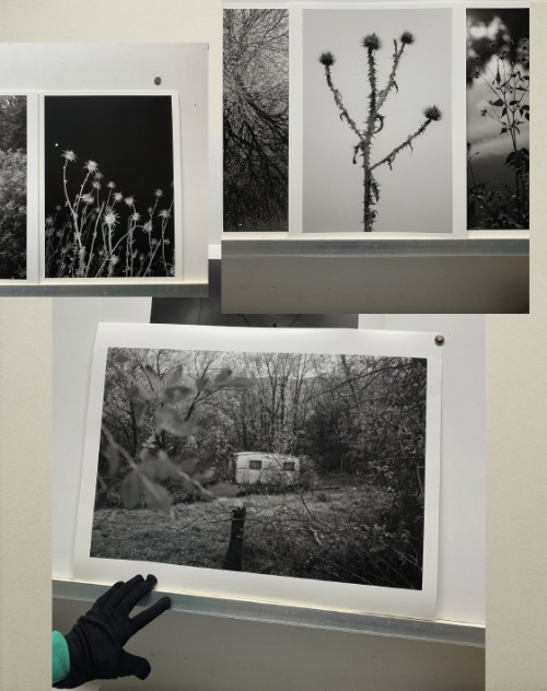 Printing Days > I will do a small exhibition in Aravaca Town, Madrid. June 22 STAY TUNED ! 