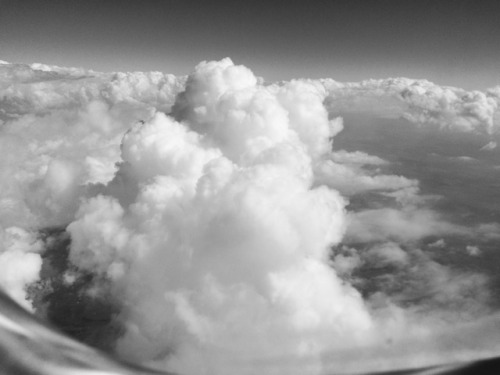 msexplorer:Black and White Challenge. Day 6. I was challenged by @my-sea-of-time Rules are to post o
