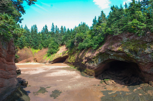 bay of fundy