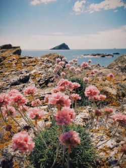 gypsylolita:  Wembury Beach by Kieron Foster