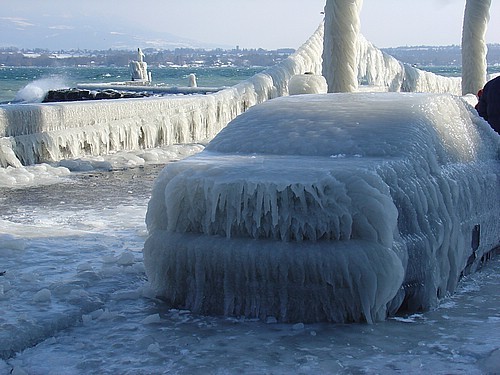 odditiesoflife:  Frozen Swiss Landscape In January 2005, Lake Geneva and the surrounding area were hit with a horrific ice storm. Everything was completely blanketed with ice when waves breaking on the lake’s shore hardened into a solid coating in the