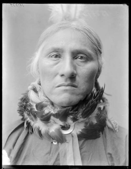  White Buffalo-Southern Cheyenne - 1904 (Note:White Buffalo was a full blood Cheyenne who had natura